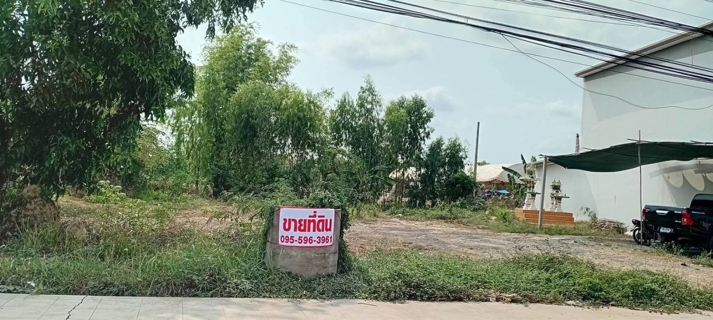 ขายถูกมาก!! ที่ดิน 3 แปลง 56 57 79 ตร.ว. ติดถนน 4 เลน ทำเลทอง อ.ไพรบึง จ.ศรีสะเกษ ใกล้ตลาด โรงพยาบาล