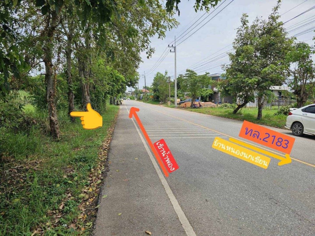 ขายถูกมาก!! ที่ดิน 3-1-03 ไร่ หน้ากว้าง ติดถนน ทำเลทอง อ.น้ำพอง จ.ขอนแก่น ใกล้ตลาดเทศบาล ซีเจ MR.DIY