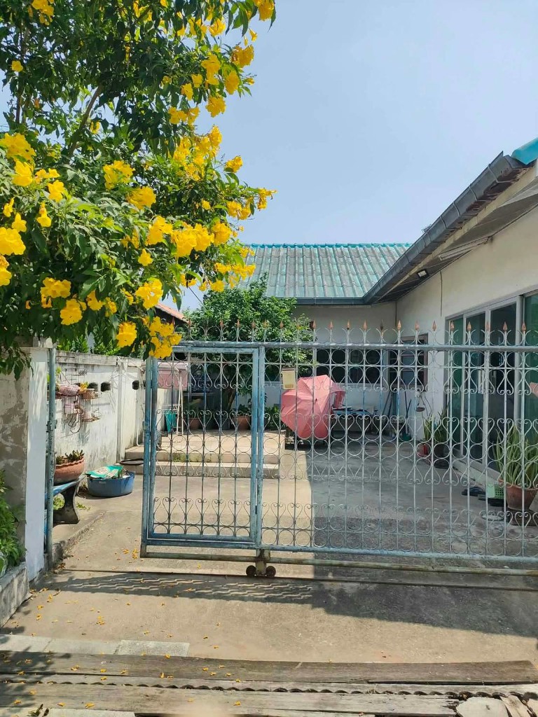 ขายถูกมาก!! บ้านเดี่ยว 3 หลัง ม.วรการ3 ทำเลทอง อ.เมือง โคราช ใกล้แม็คโคร โลตัส โอเอ็มไนท์มาร์เก็ตฯ