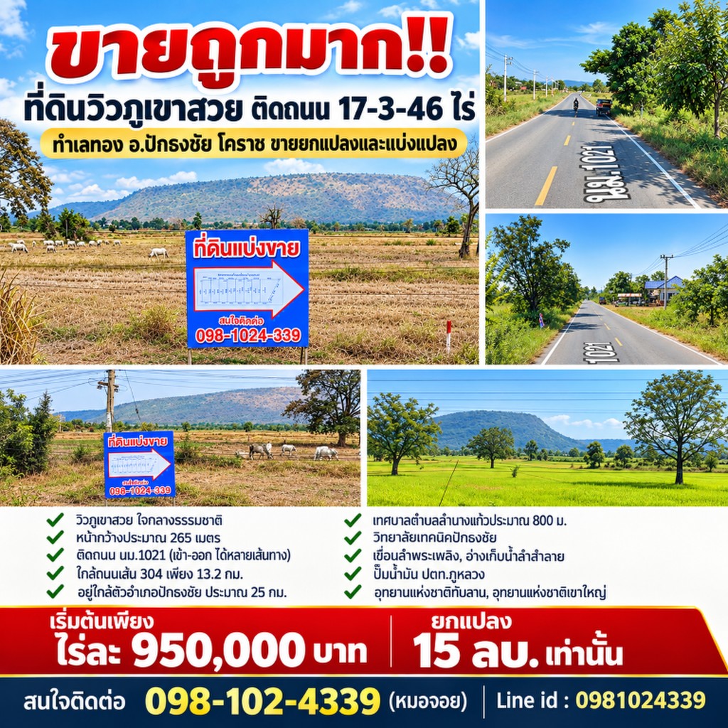 ขายถูกมาก!! ที่ดินวิวภูเขาสวย ติดถนน 17-3-46 ไร่ ทำเลทอง อ.ปักธงชัย โคราช ขายยกแปลงและแบ่งแปลง
