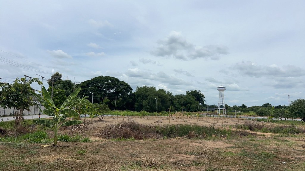 ขายถูกมาก!! ที่ดินเปล่า 154 ตร.ว. ทำเลทอง อ.กำแพงแสน จ.นครปฐม ใกล้ถนนมาลัยแมน 1 นาที ใกล้ ม.เกษตร