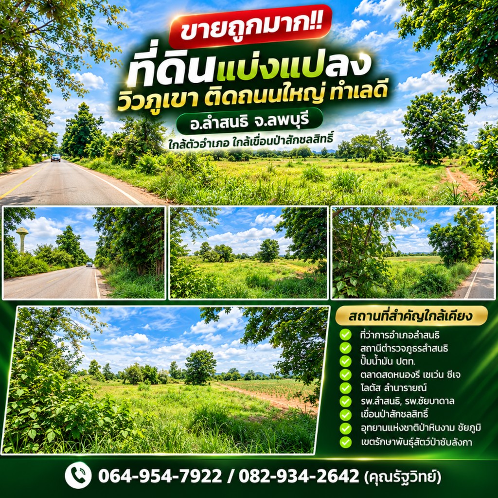 ขายถูกมาก!! ที่ดินแบ่งแปลงวิวภูเขา ติดถนนใหญ่ ทำเลดี อ.ลำสนธิ จ.ลพบุรี ใกล้ตัวอำเภอ ใกล้เขื่อนป่าสัก