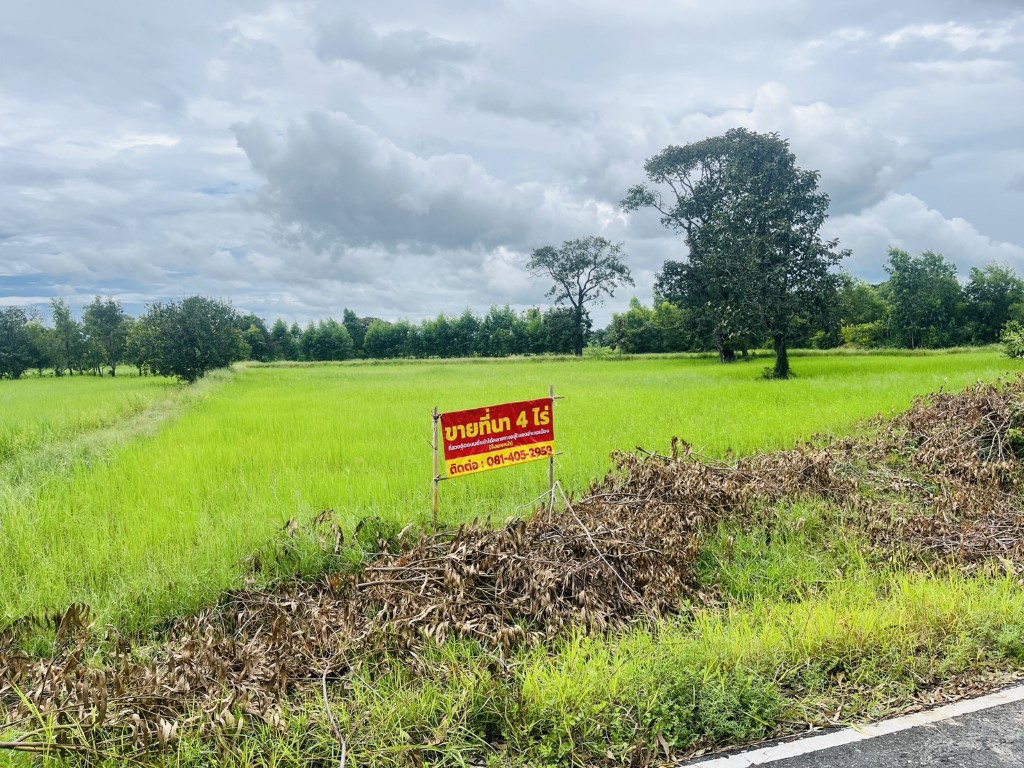ขายถูกมาก!! ที่ดิน 4 ไร่ ติดถนน ทำเลดี อ.เมือง จ.ศรีสะเกษ ใกล้แม็คโคร โลตัส ม.เฉลิมกาญจนา ฯ