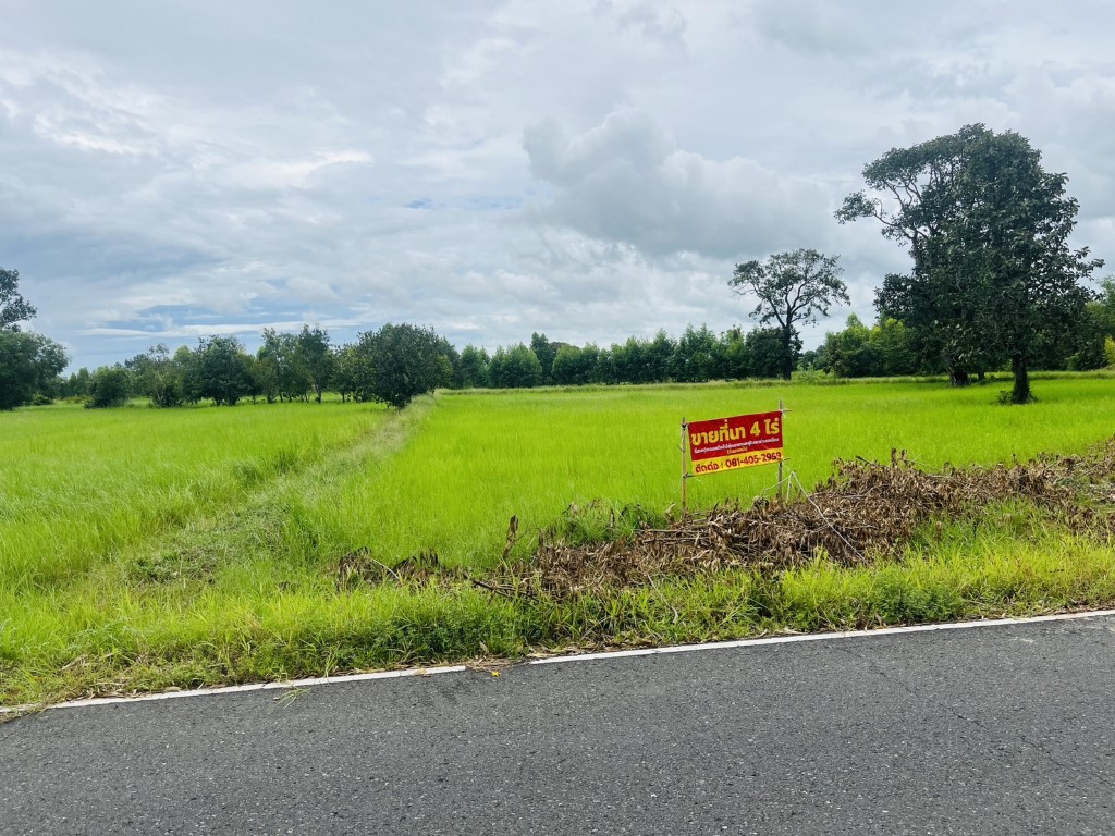 ขายถูกมาก!! ที่ดิน 4 ไร่ ติดถนน ทำเลดี อ.เมือง จ.ศรีสะเกษ ใกล้แม็คโคร โลตัส ม.เฉลิมกาญจนา ฯ