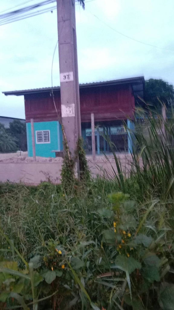 ขายถูกมาก!! บ้านพร้อมที่ดิน 298 ตร.ว. บนทำเลทอง อ.พานทอง ชลบุรี ใกล้นิคมอมตะนคร โรงงานชื่อดังมากมาย