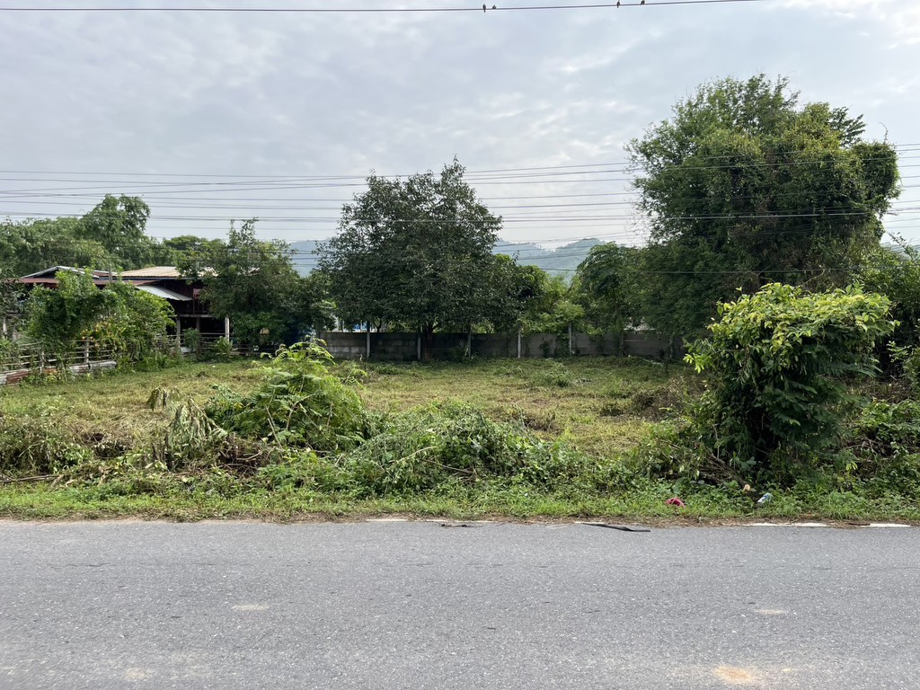 ขายที่ดิน 172 ตร.ว. มีโฉนด ติดถนนลาดยาง พื้นที่ชุมชน รูปที่ดินสี่เหลี่ยมจัตุรัส สวย