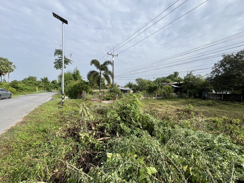 ขายที่ดิน 172 ตร.ว. มีโฉนด ติดถนนลาดยาง พื้นที่ชุมชน รูปที่ดินสี่เหลี่ยมจัตุรัส สวย