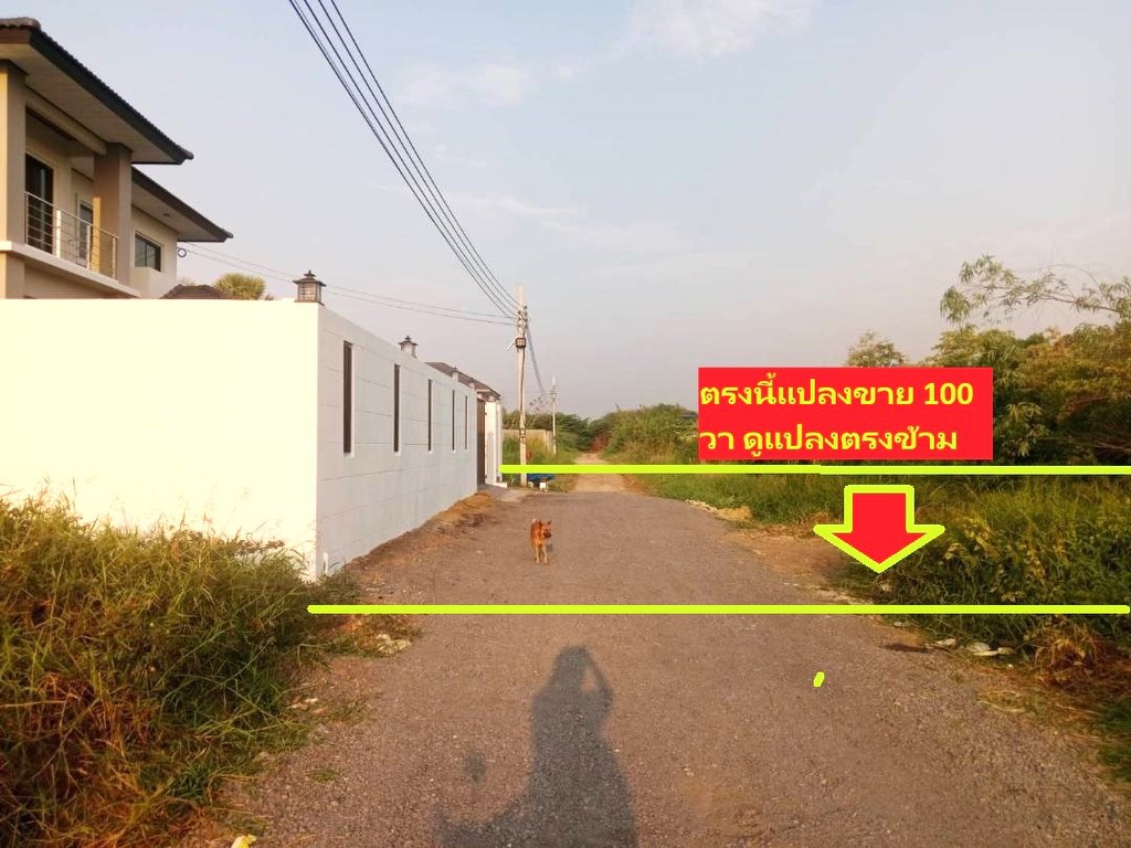 ขายที่ดินจัดสรร100 ตารางวา สวย 20x20 เมตร สร้างบ้านสวยๆเหมือนฝ่ั่งตรงข้าม ทำเลพหล -สายไหมดีมากๆราคาด