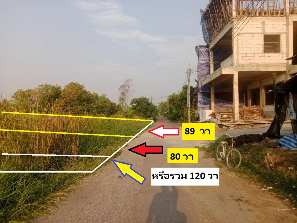 ขายที่ดินสร้างบ้าน ที่พักอาศัยต่างๆพหลสายไหม ปลอดภัยเป็นโครงการจัดสรรซอยตัน ที่ดิน 80 -209 ตารางวา