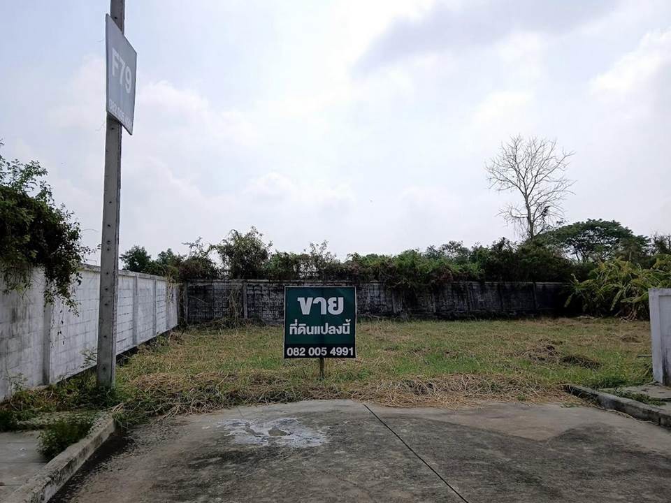 ขายที่ดินในหมู่บ้านเนเบอร์โฮม ถนนสุขาภิบาล 5