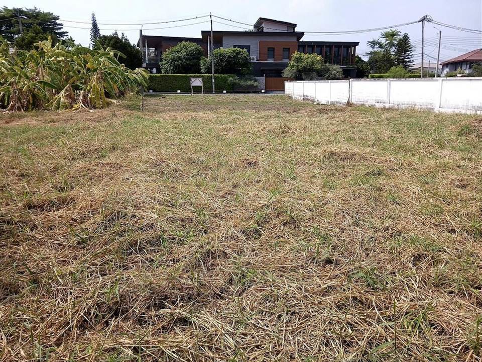 ขายที่ดินในหมู่บ้านเนเบอร์โฮม ถนนสุขาภิบาล 5
