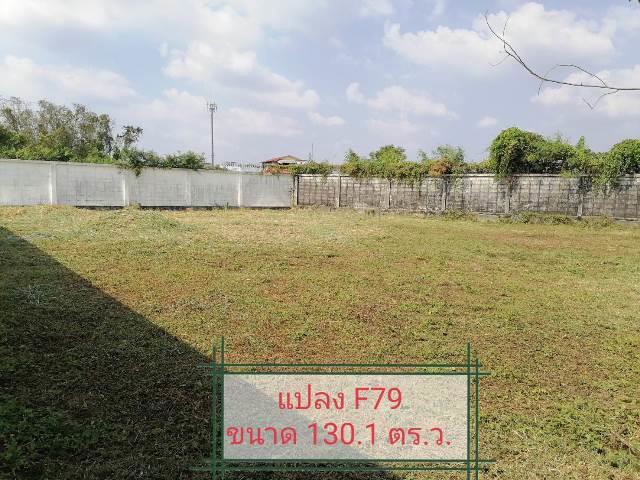 ขายที่ดินในหมู่บ้านเนเบอร์โฮม ถนนสุขาภิบาล 5