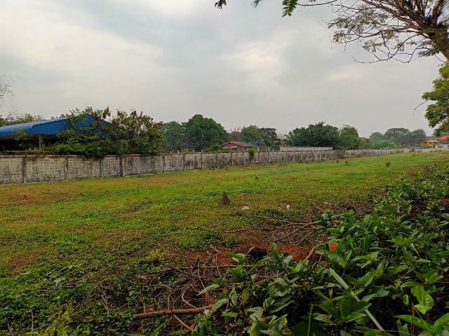 ขายที่ดินทำเลถนนสุขาภิบาล 5 ซอย 82