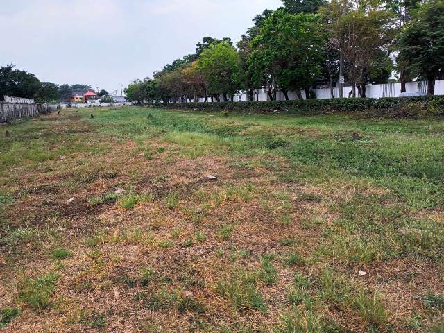 ขายที่ดินทำเลถนนสุขาภิบาล 5 ซอย 82