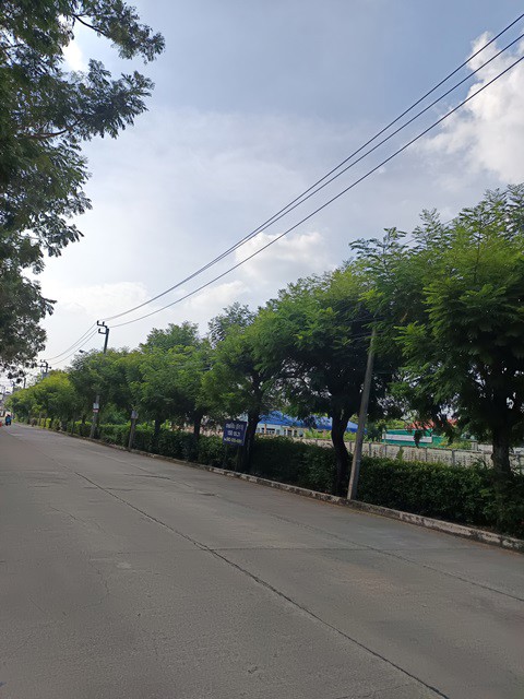 ขายที่ดินทำเลถนนสุขาภิบาล 5 ซอย 82