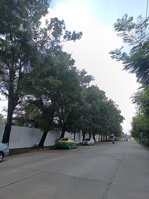 ขายที่ดินทำเลถนนสุขาภิบาล 5 ซอย 82