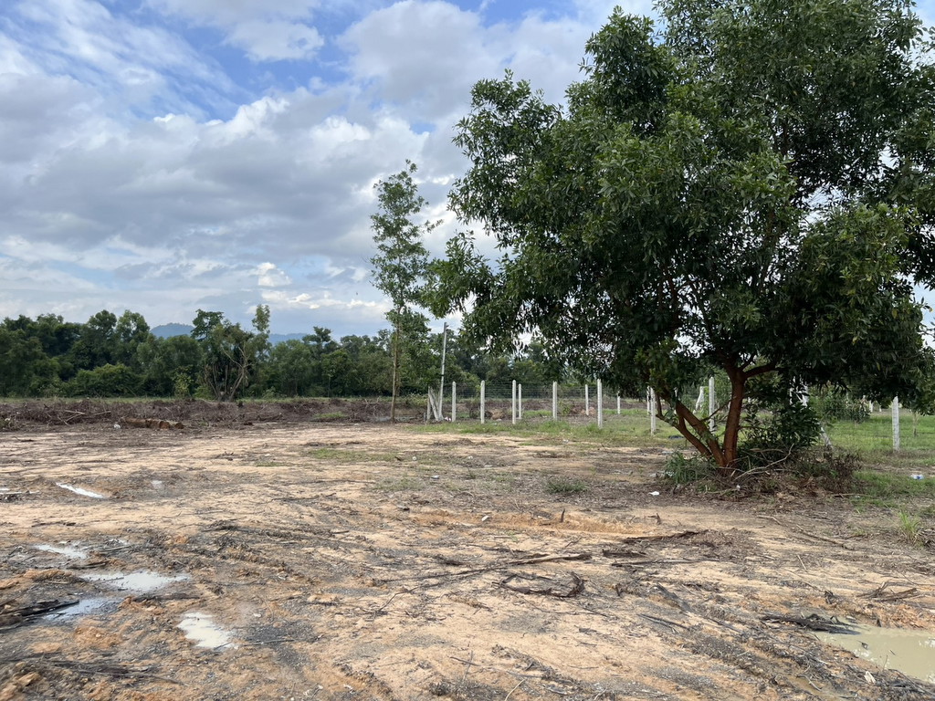 ขายที่ดินถมเเล้ว 1 ไร่ (มี 2 แปลง) ต.ศรีกะอาง โฉนดครุฑแดง ขายพร้อมโอน 1.56 ล้านบาท