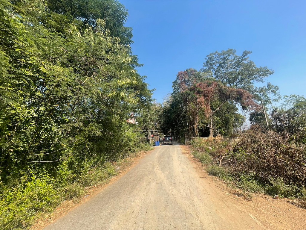 ขายที่ดินริมแม่น้ำ 910 ตร.วา ใกล้วัดหลุมดิน เมืองราชบุรี