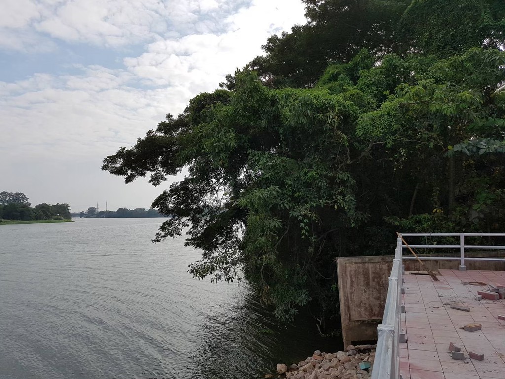 ขายที่ดินริมแม่น้ำ 910 ตร.วา ใกล้วัดหลุมดิน เมืองราชบุรี