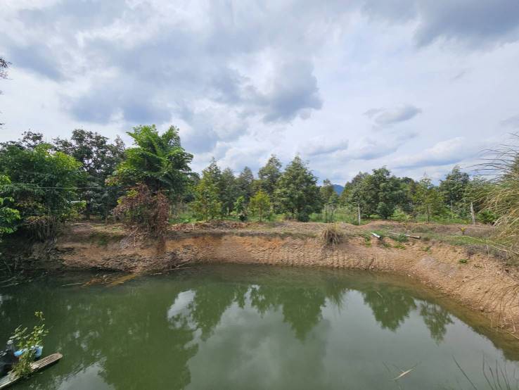 ขายที่ดินพร้อมสวนผลไม้ 5 ไร่ จันทบุรี ออกผลผลิตแล้ว สามารถดำเนินการต่อได้เลย