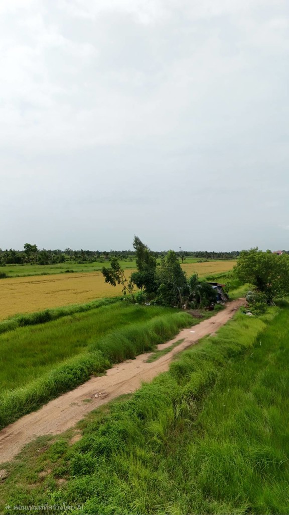 ขายที่ดินจัดสรร องครักษ์ นครนายก เหมาะสร้างบ้าน โฉนดครุฑแดง พร้อมโอน