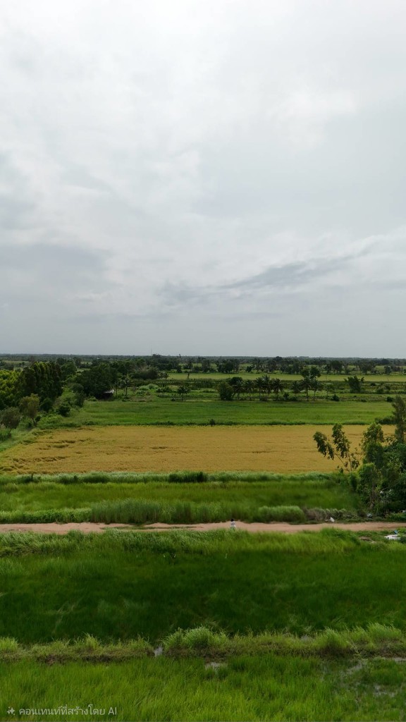ขายที่ดินจัดสรร องครักษ์ นครนายก เหมาะสร้างบ้าน โฉนดครุฑแดง พร้อมโอน