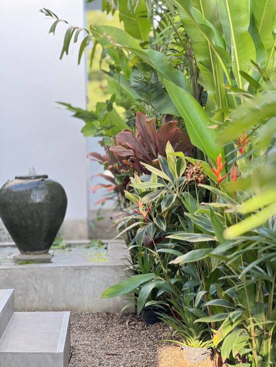 บ้านชั้นเดียวสไตล์ Contemporary Asian Tropical วิวดอยสุเทพ แม่โจ้ สันทราย เชียงใหม่